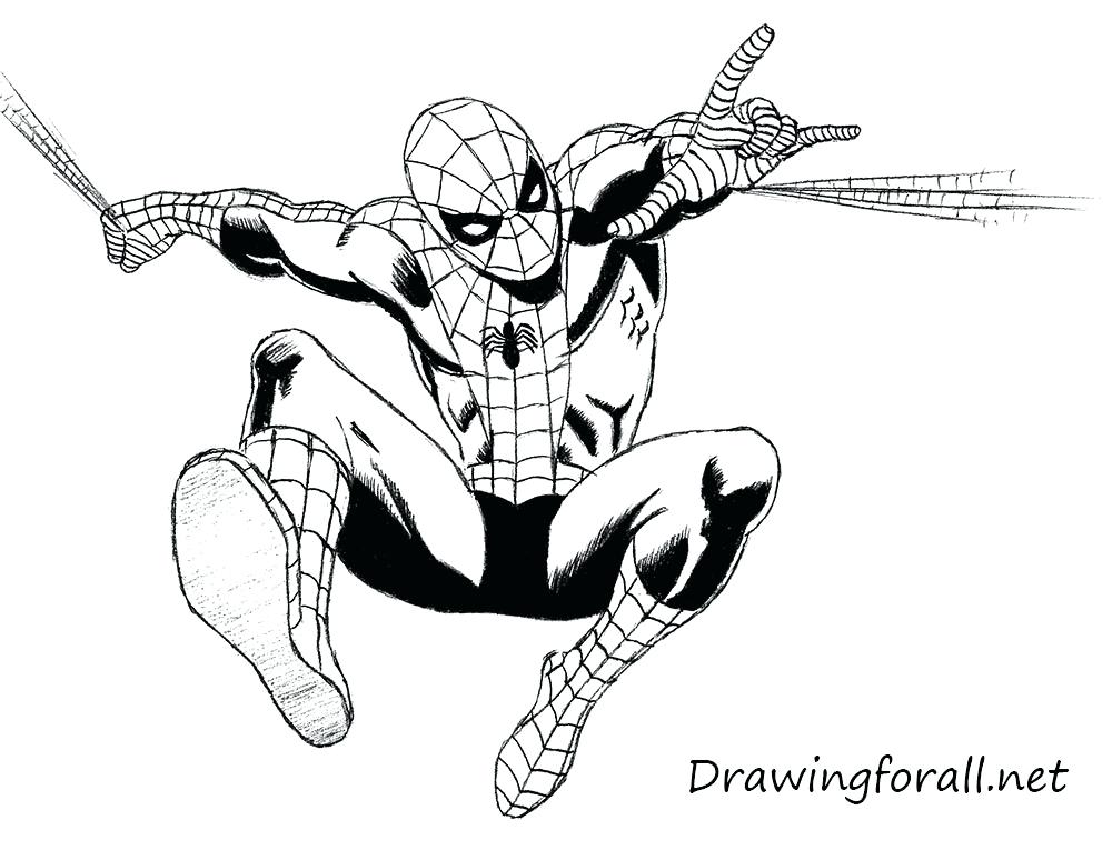 1000x774 Spider Man Drawings