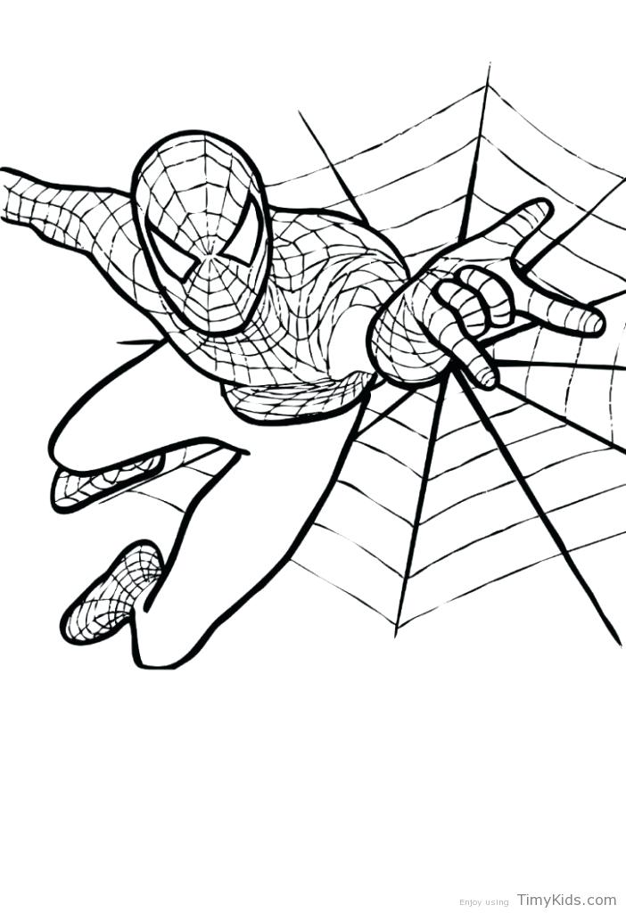 702x1024 Spider Man Color