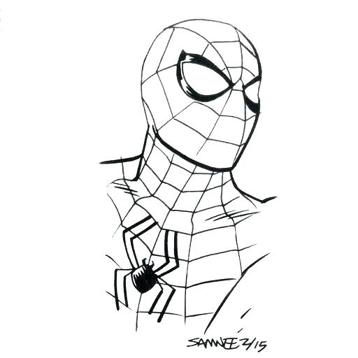 512x512 Spiderman Drawing Easy Spiderman Drawing Easy Step