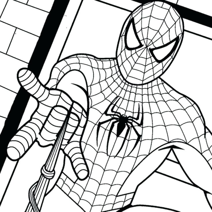 736x736 Spiderman Coloring Online