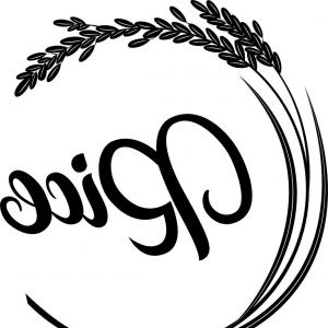 300x300 Png Logo Drawing Clip Art Vector Rice Spike Lazttweet