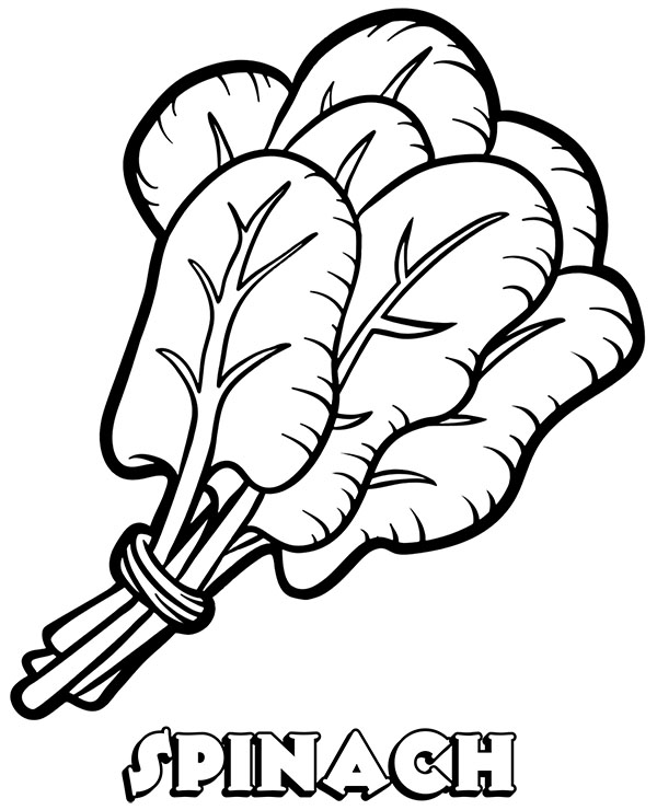 600x740 Printable Coloring