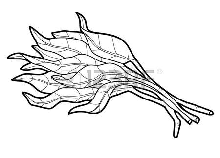 450x324 Spinach Clipart Black And White Clipart Station
