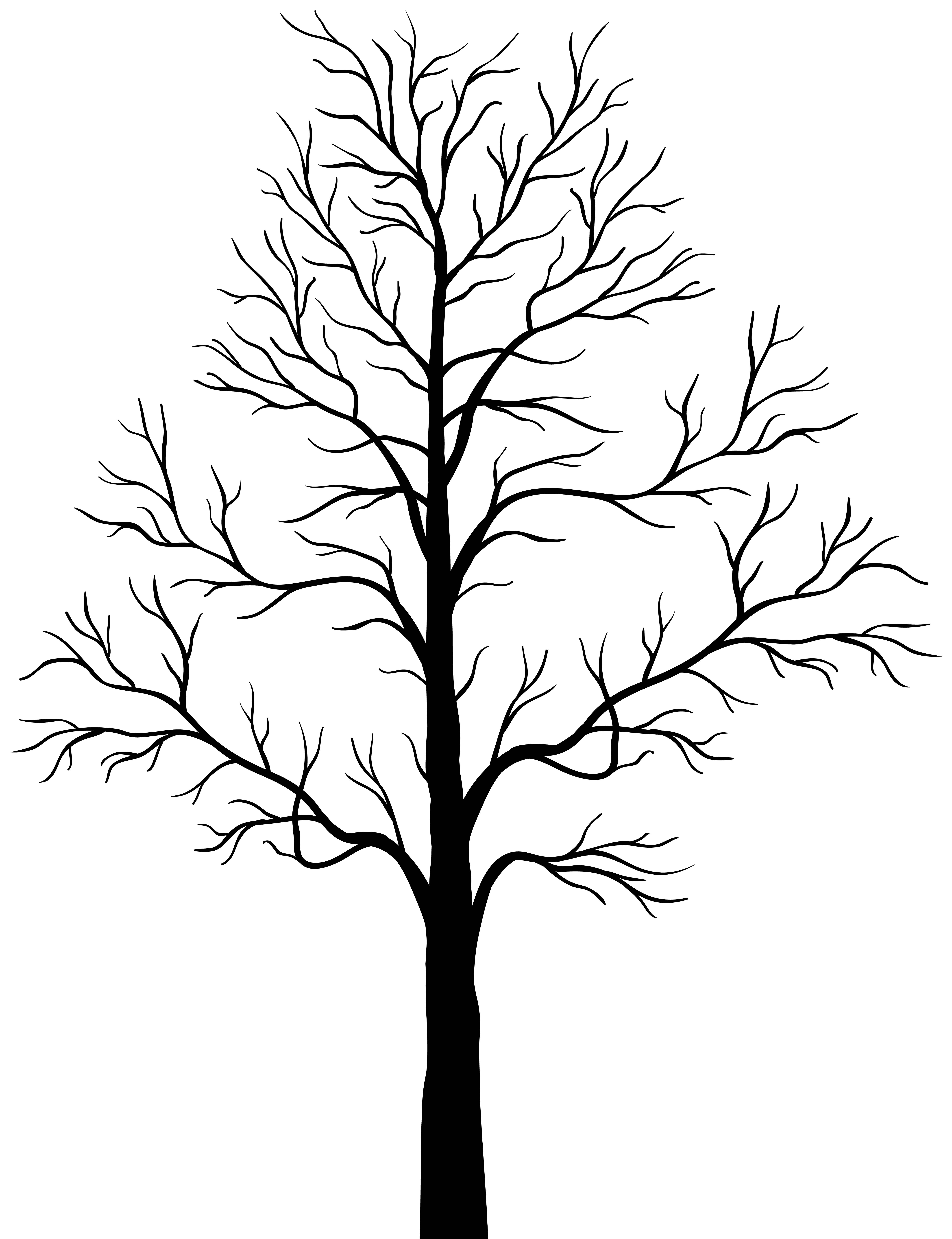 6149x8000 Collection Of Free Spine Drawing Tree Download On Ui Ex