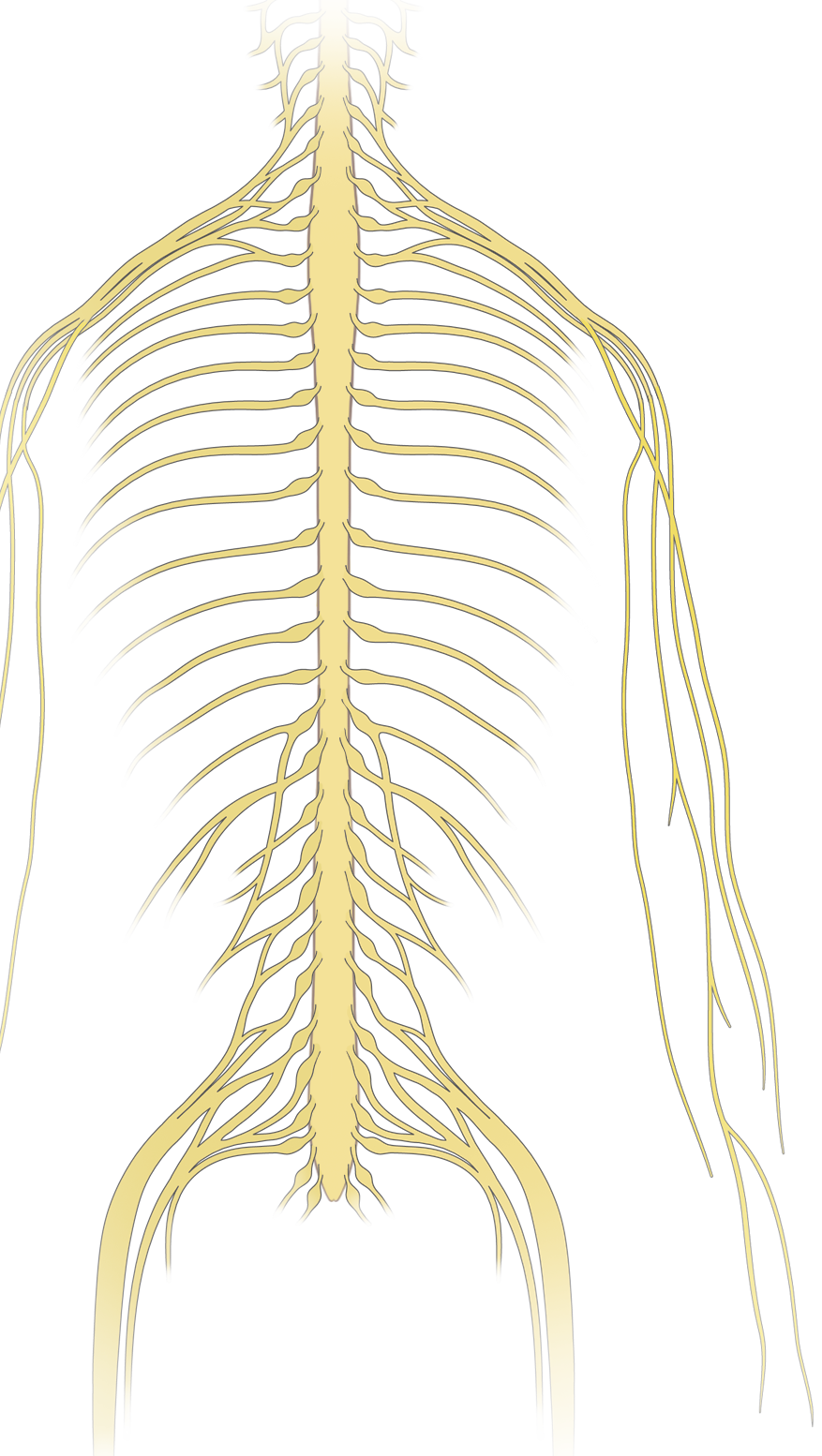 877x1554 neoplastic epidural spinal cord compression nejm