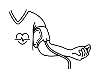 333x259 Spinal Cord Injury Basics