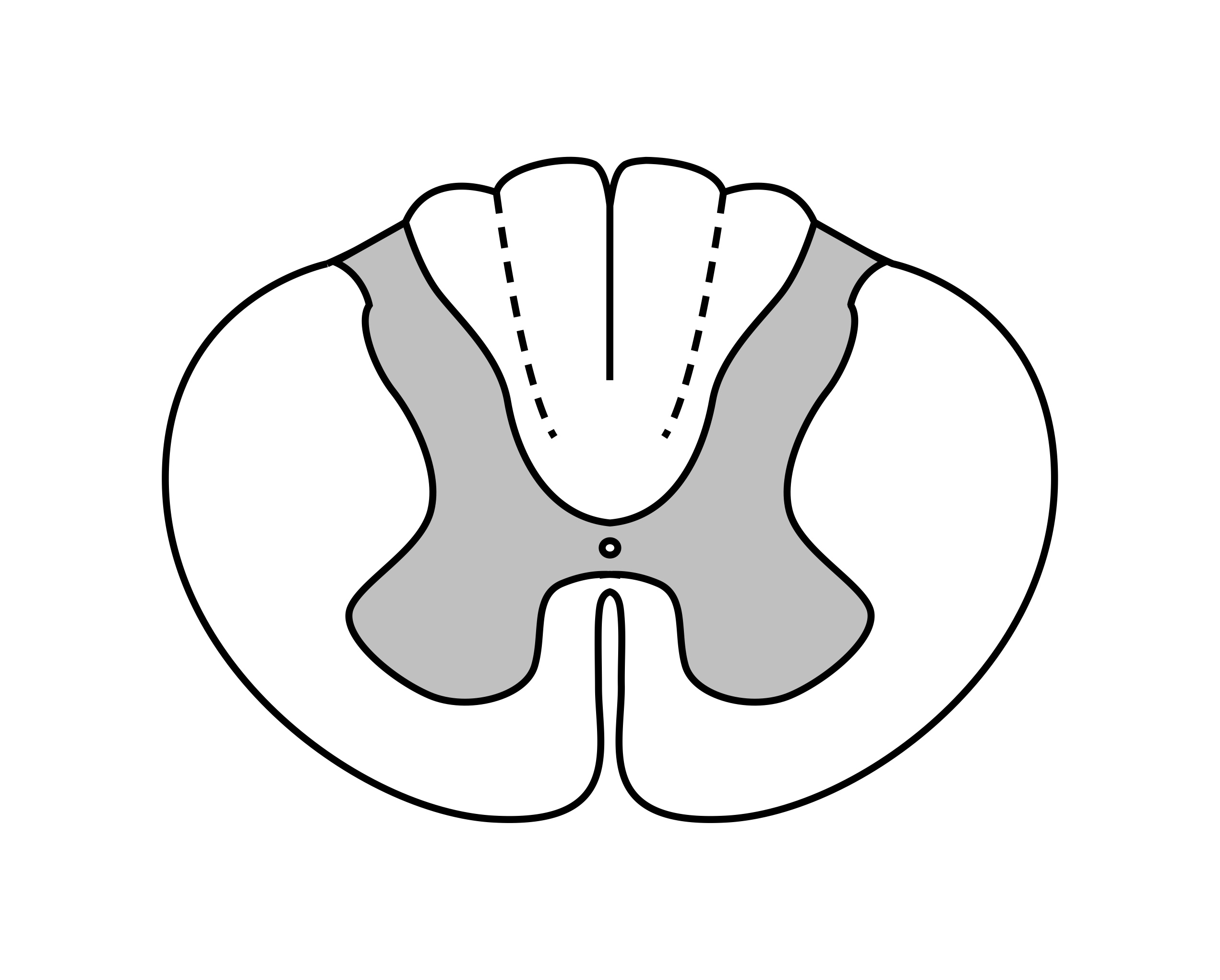 Spinal Cord Drawing | Free download on ClipArtMag