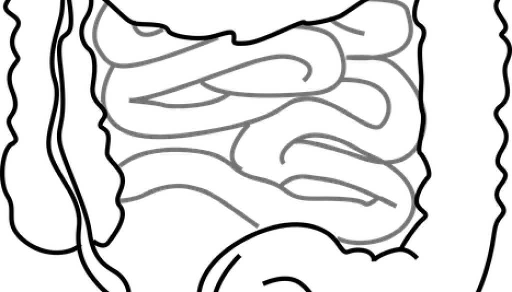 1024x585 Bladder And Bowel Care When You Have Spinal Cord Injury Action