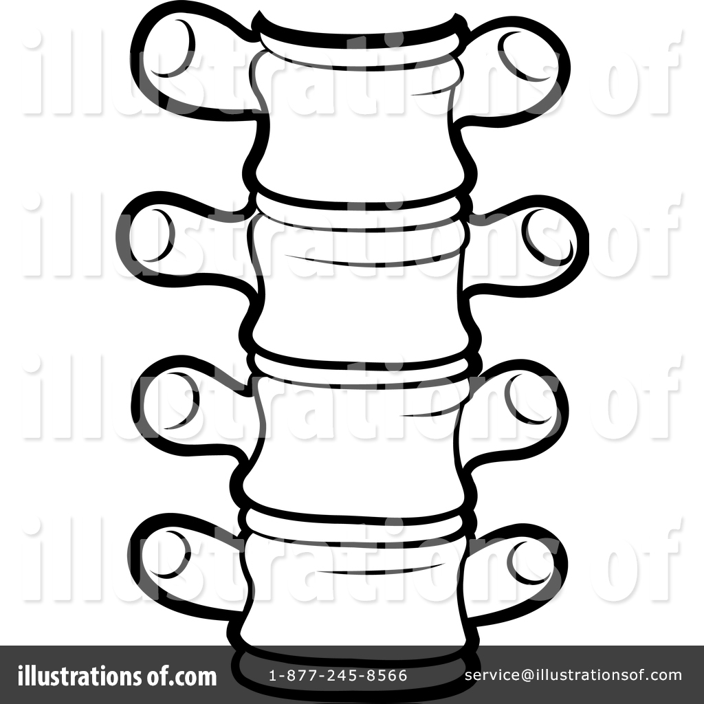 1024x1024 Spine Clipart