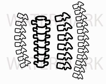 340x270 Spine Illustration Etsy