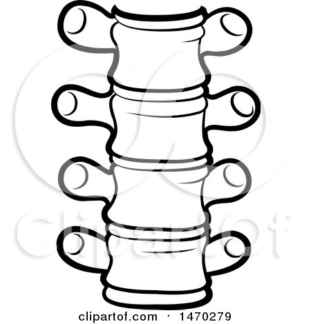 450x470 Clipart Of A Black And White Spine