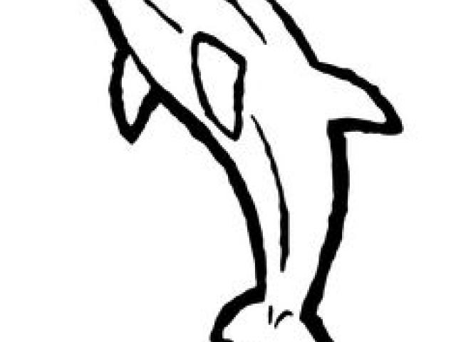 640x480 Dolphin Clipart Spinner Dolphin