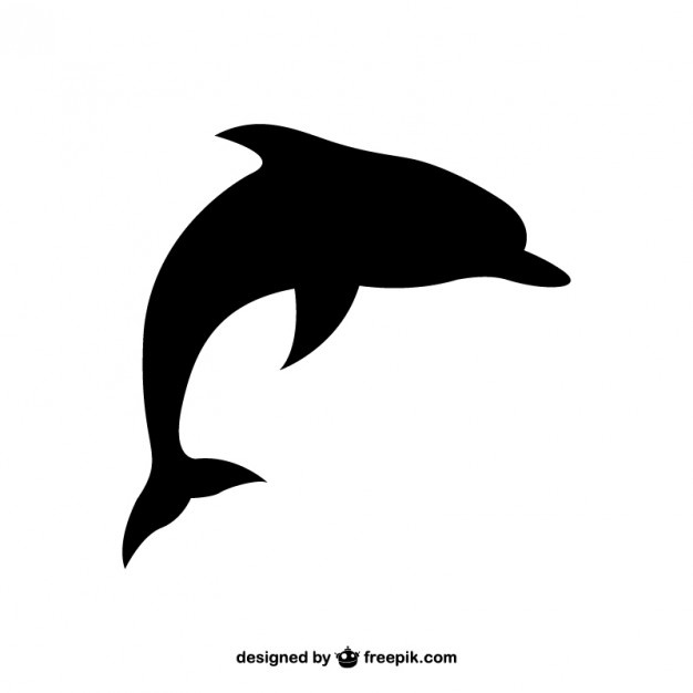 626x626 Dolphin Vectors, Photos And Free Download