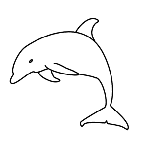 300x300 How To Draw A Dolphin Step