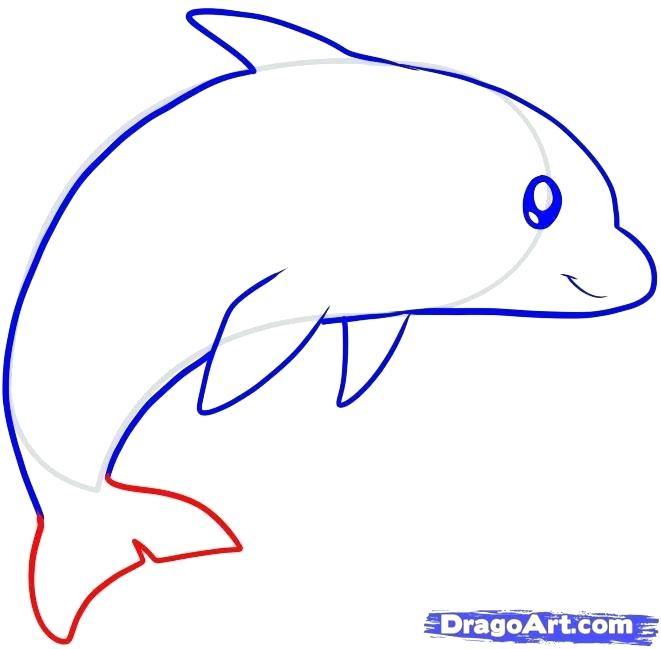 661x649 How To Draw A Dolpin How To Draw A Dolphin For Kids Step Draw