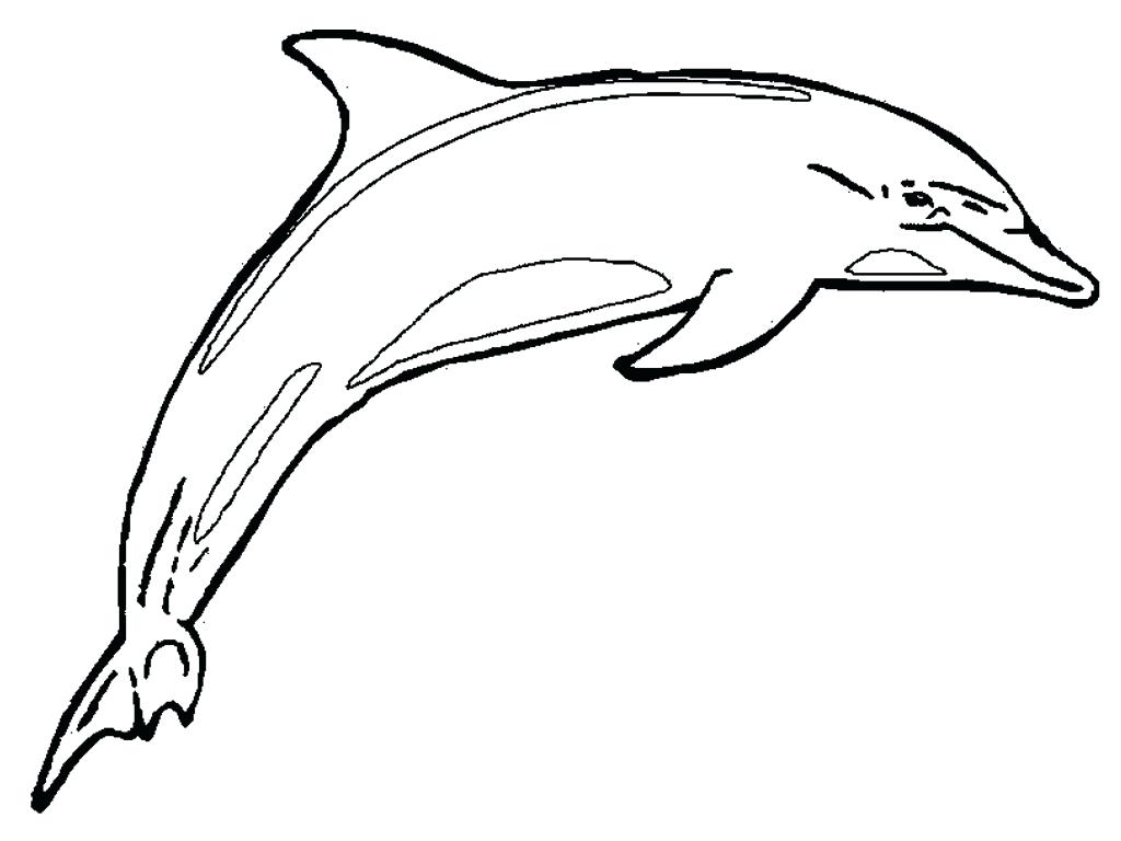 1024x768 Line Drawing Dolphin For Free Download