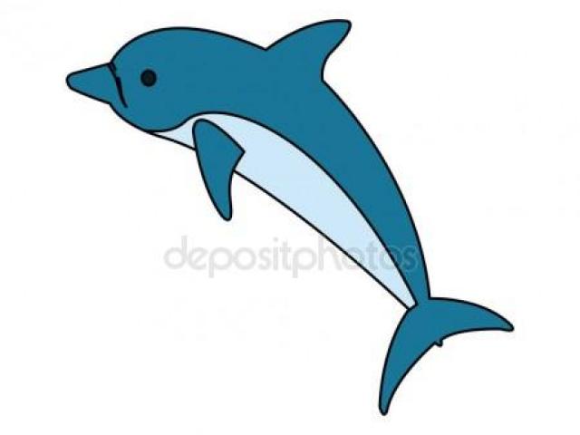 640x480 Bottlenose Dolphin Clipart Lumba Lumba Free Clip Art Stock