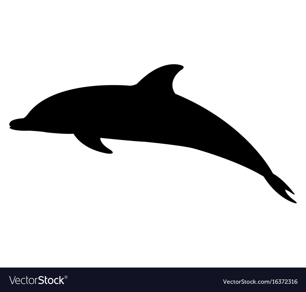 1000x955 Dolphin Drawing Sunset For Free Download