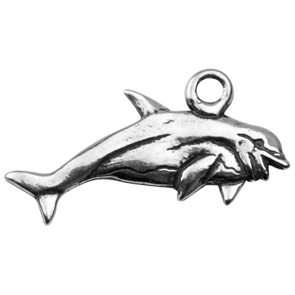 432x432 Bottlenose Dolphin Ecosmart Designs