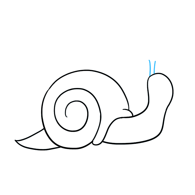 680x678 How To Draw A Snail