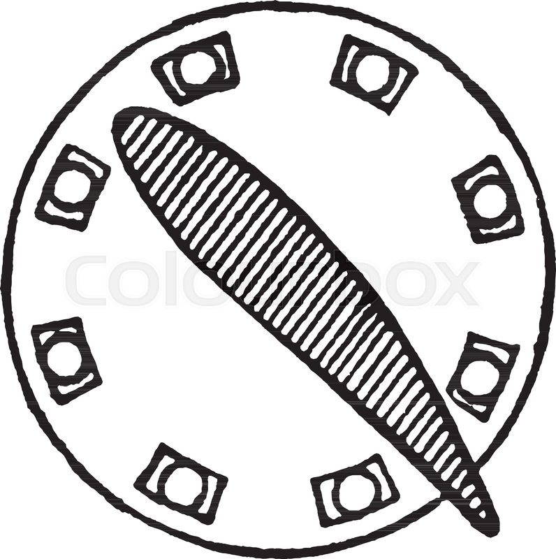 796x800 This Illustration Represents Cross Section Of A Blade Screw