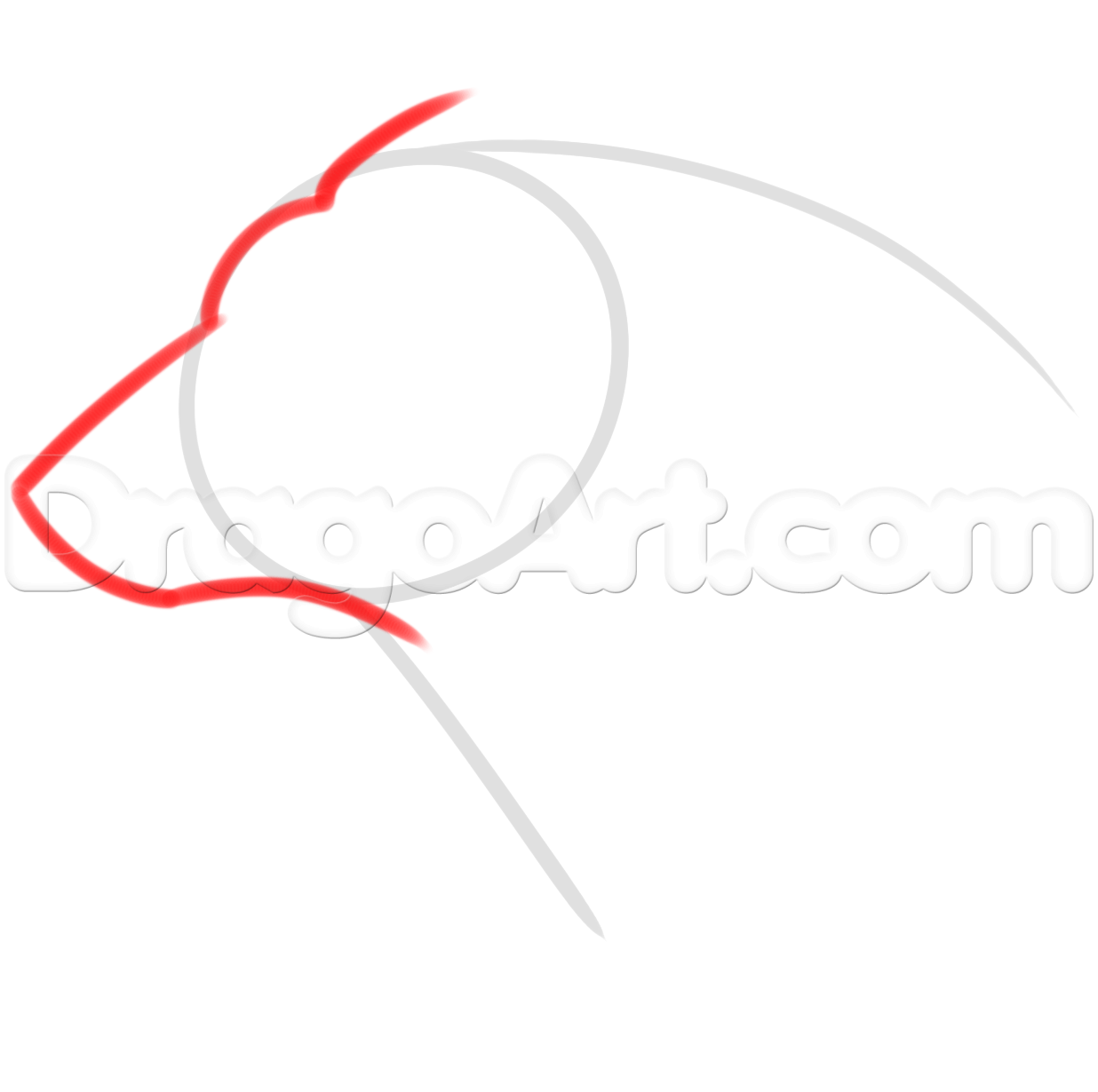 1236x1230 Draw A Bear Spirit, Step