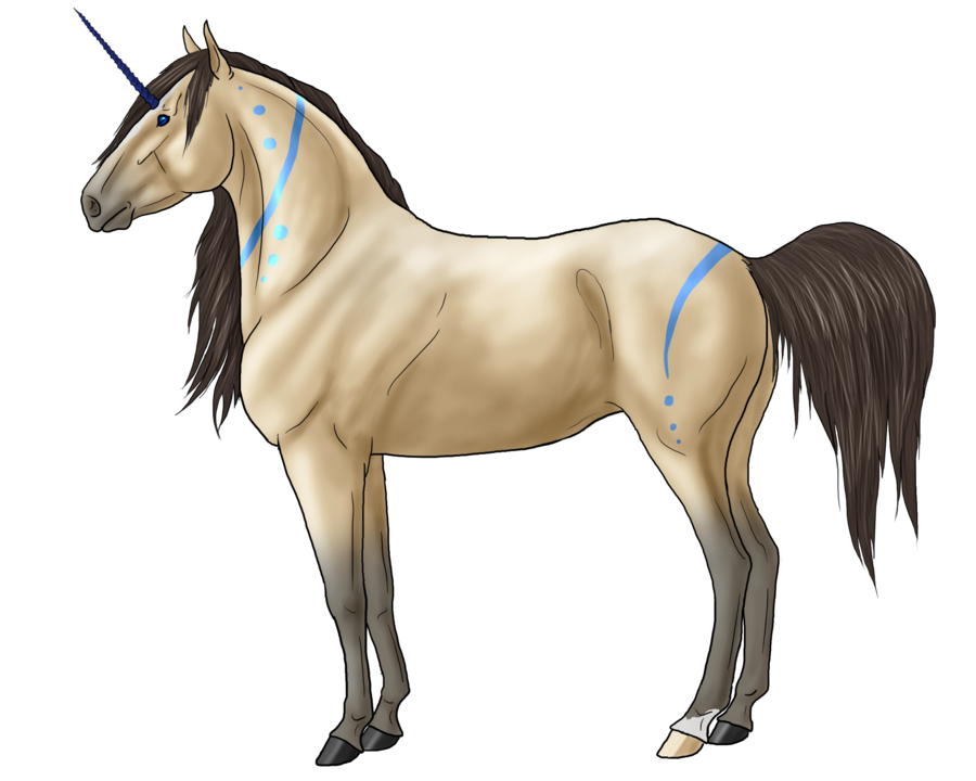 900x720 Rotate Resize Tool Horses Drawing Spirit