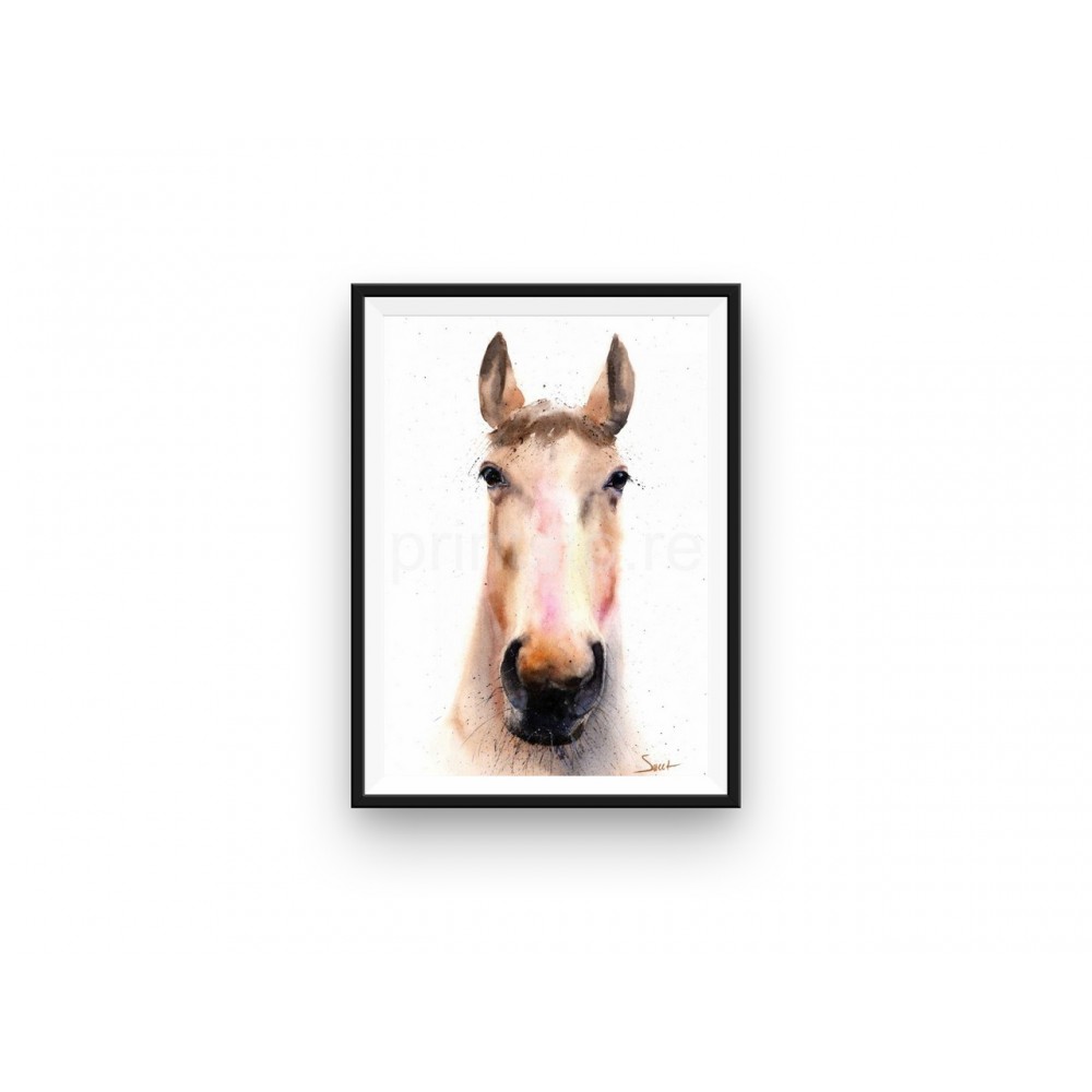 1000x1000 Spirit Horse