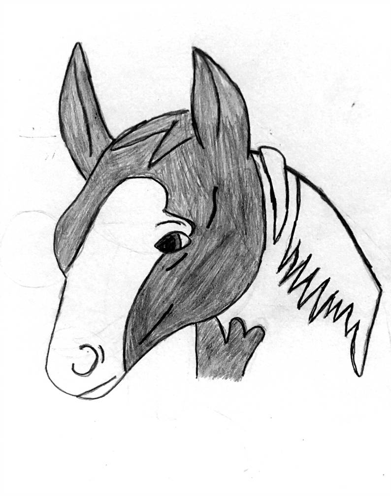 794x1006 Spirit The Horse