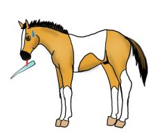 237x200 spirit stallion of the cimarron rains foal