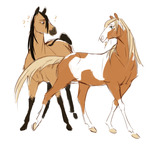 500x477 procrastinarting the spirit stallion of the cimarron soundtrack