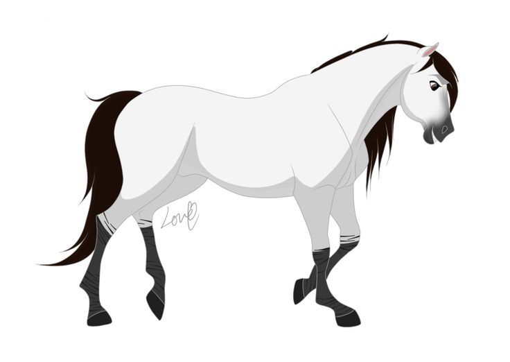 736x522 image result for spirit stallion of the cimarron fanart