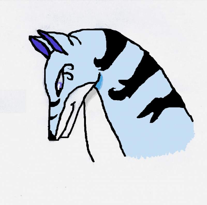 800x792 Fanart Shadoweyedwolf