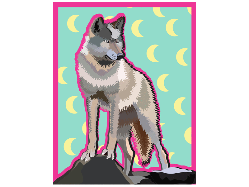 800x600 Spirit Wolf
