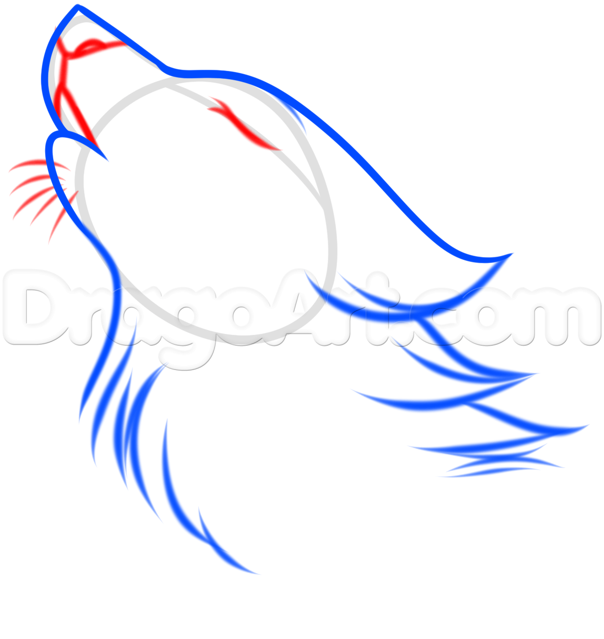 1191x1259 How To Draw A Wolf Spirit, Step