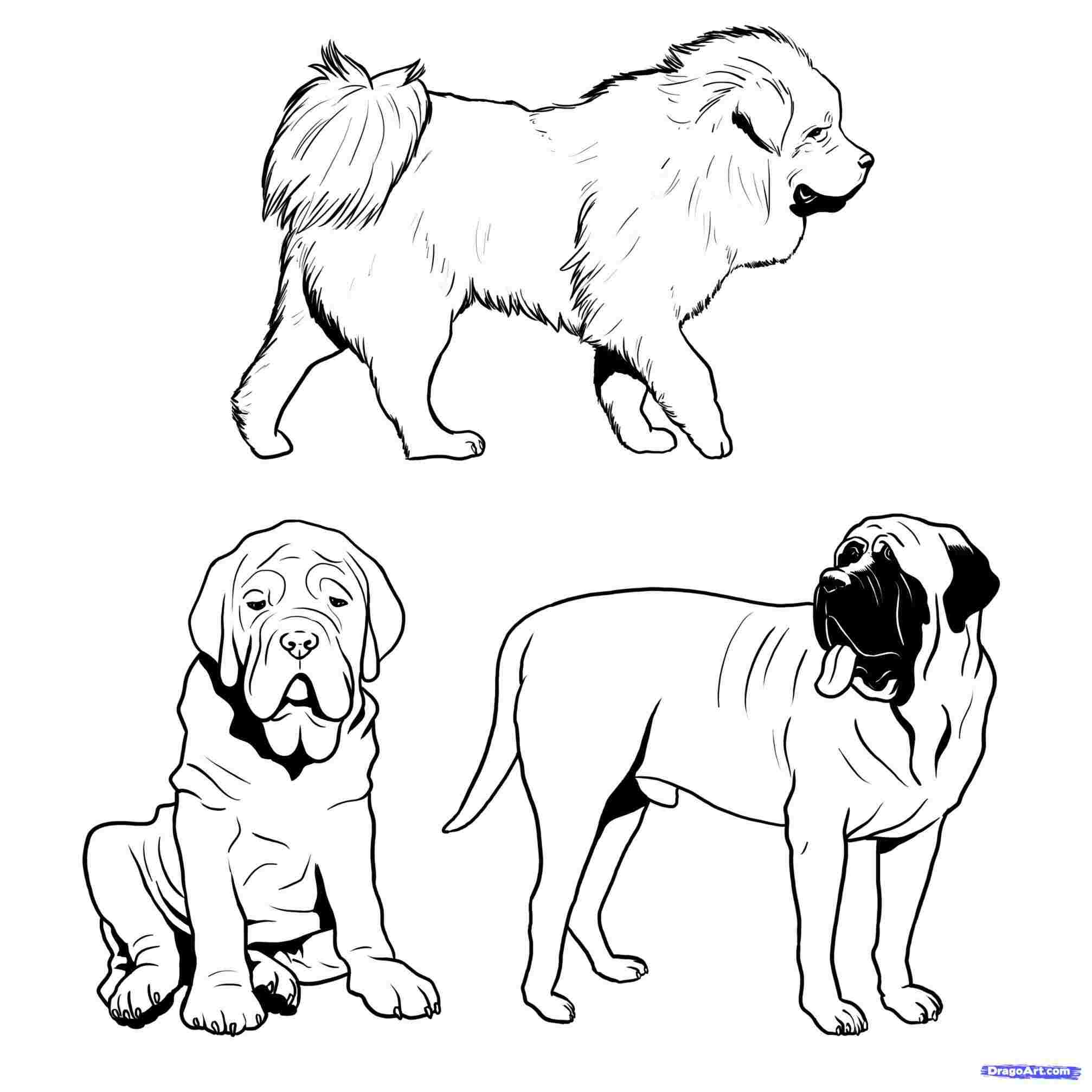 2014x2014 Custom Puppy Google Doodle Drawings Sketches Pen And Ink Pet