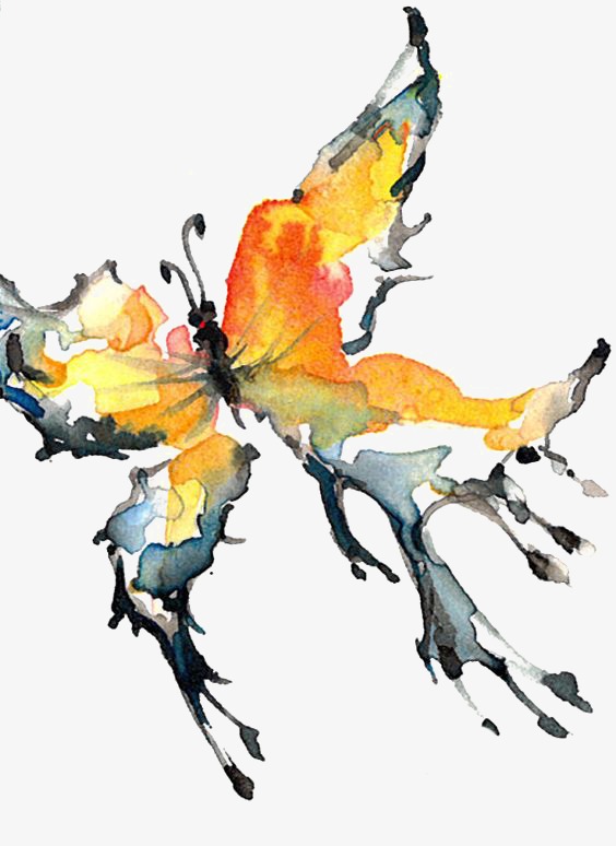 564x774 Drawing Butterfly, Butterfly Clipart, Hand Painted Butterfly