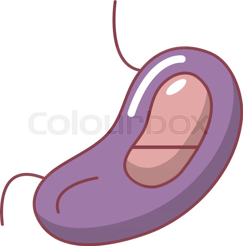 788x800 spleen icon cartoon illustration of stock vector colourbox