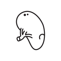 200x200 spleen icons noun project