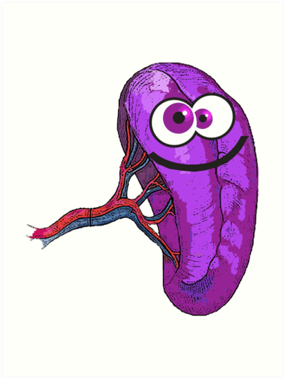 413x549 happy spleen art prints