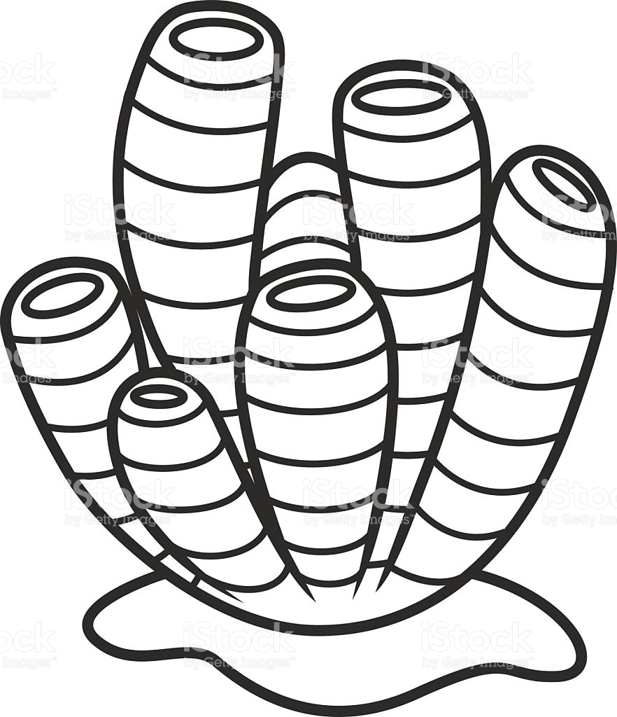 882x1024 Collection Of Free Corol Clipart Marine Sponge Download On Ui Ex