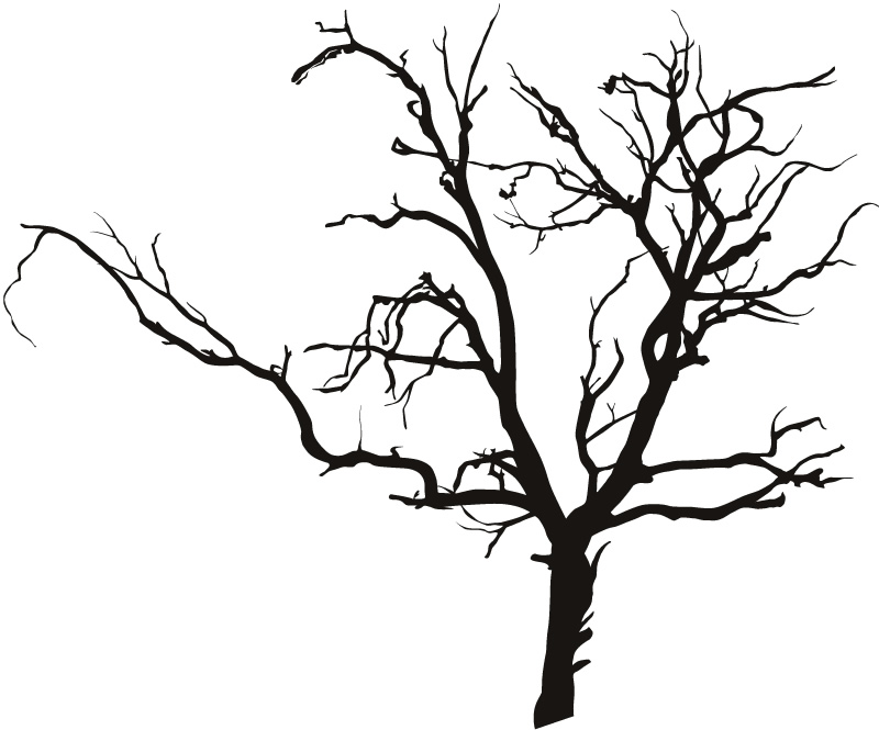 800x665 Spooky Tree Clipart Clip Art