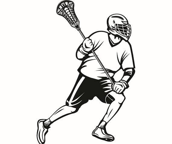 570x478 Lacrosse Clipart Drawing