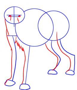 258x302 Draw A Hyena, Step