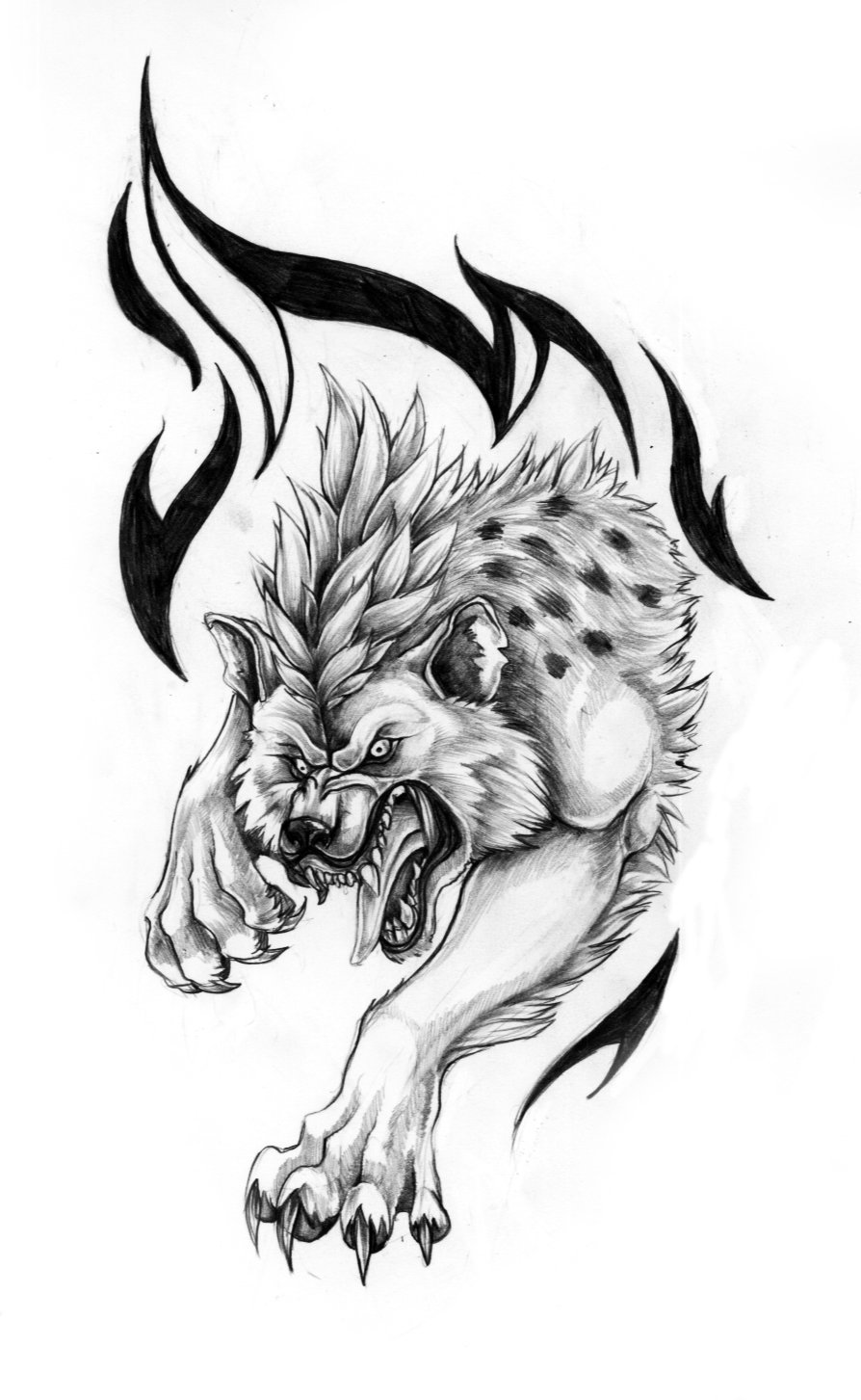894x1453 Awesome Hyena Tattoo Designs