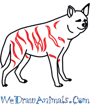 300x350 How To Draw A Striped Hyena