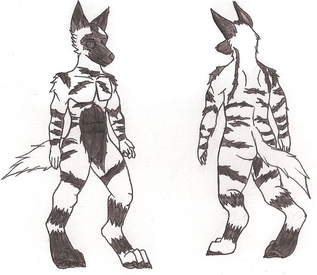 1011x877 Spotted Hyena Reference Sheet