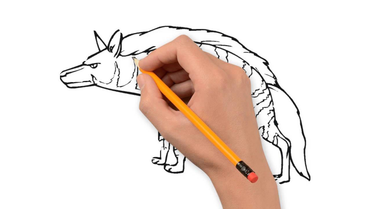 1280x720 Hyena Animals Pencil To Draw Step