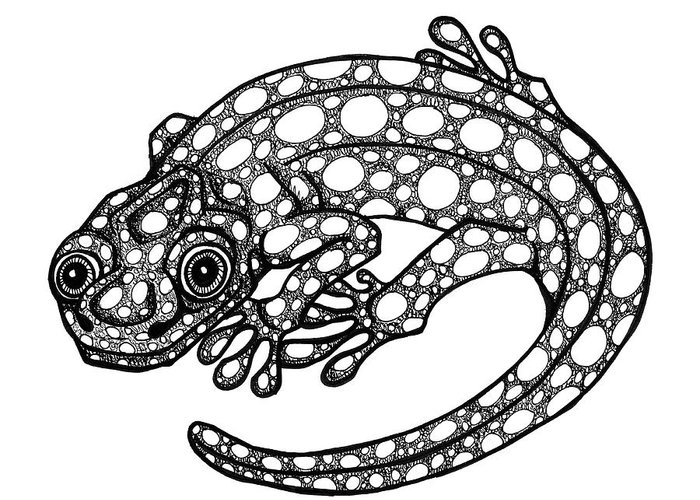 700x500 Blue Spotted Salamander Art Fine Art America