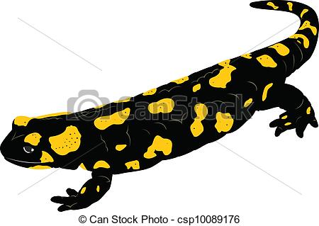 450x319 Collection Of Free Amphibiums Clipart Fire Salamander Download